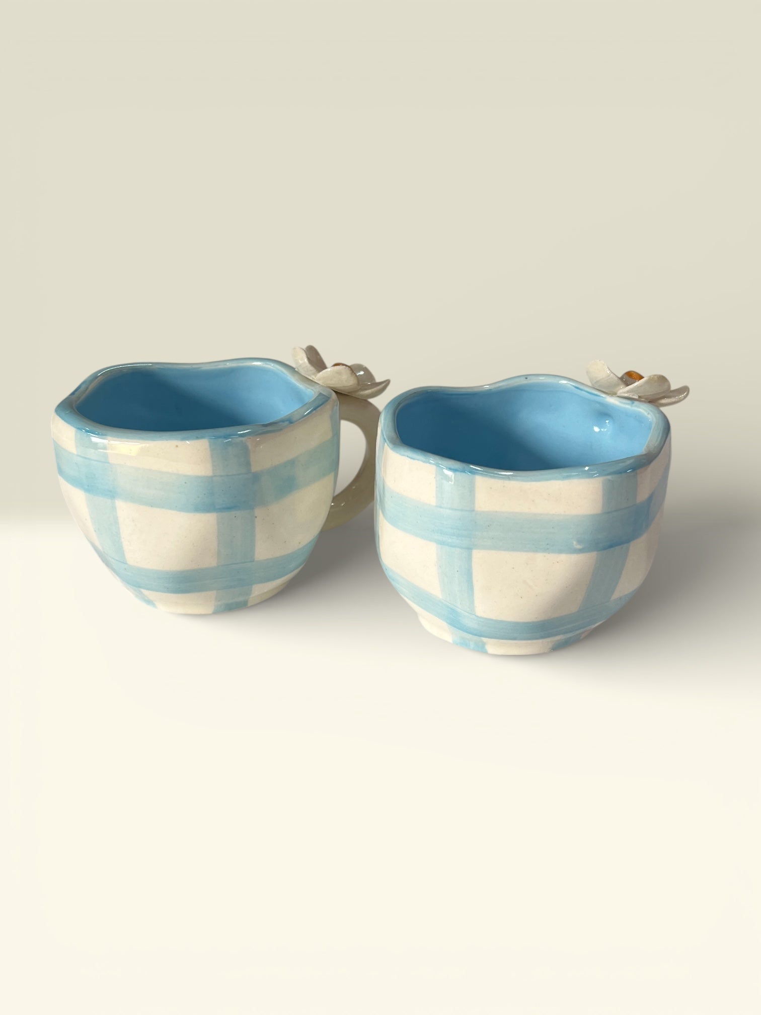Blue Check Mugs Pack Of 2